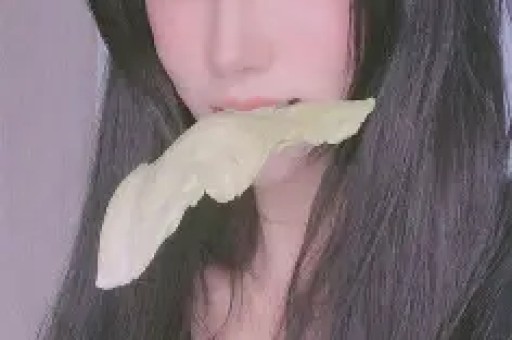 网红女记者仗着记者身份恶意退款退货商家